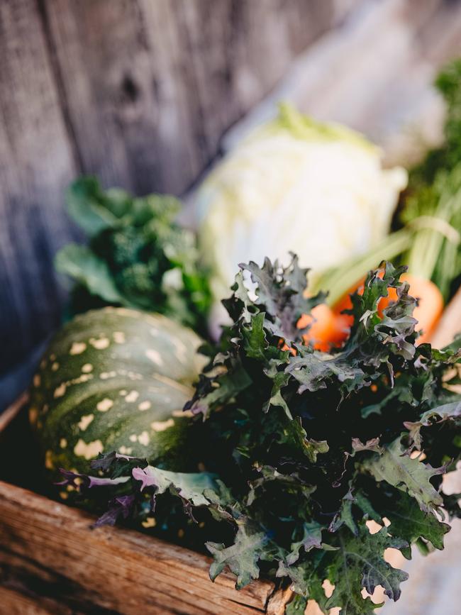 Herry's Harvest seasonal veg. Picture: Chloe Smith