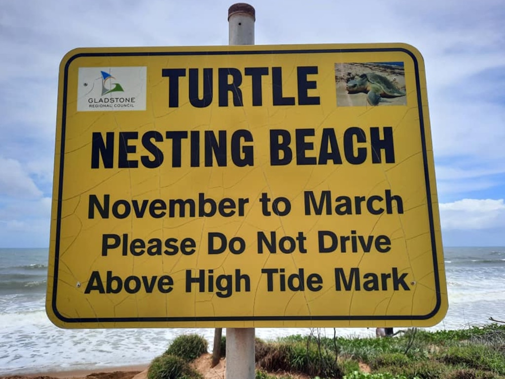 A turtle nesting season sign in the Gladstone area. Picture: Lou Weeze, via Mackay and District Turtle Watch Facebook group.