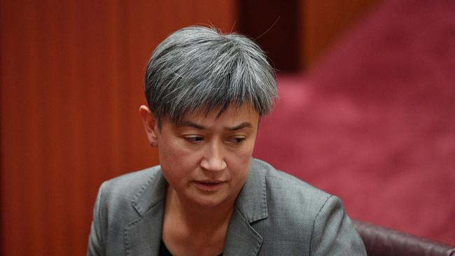 Shadow Minister for Foreign Affairs Penny Wong has moved a motion condemning Queensland Senator Fraser Anning. Picture: AAP/Mick Tsikas