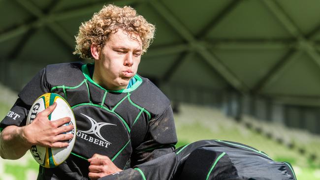 Ned Hanigan is the type of player Michael Cheika likes around.