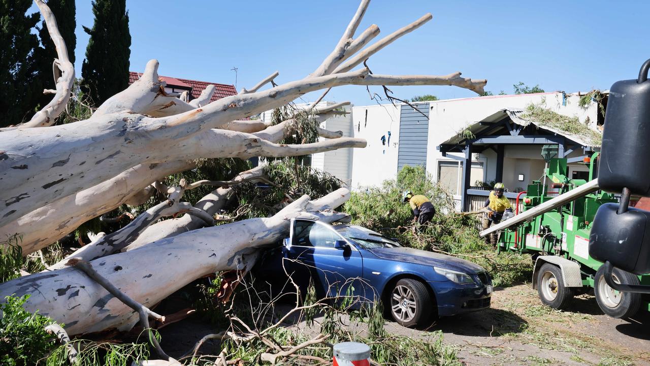 Five cars were badly damaged and the Freckles Kindergarten building when a giant tree fell during the storm at Tweed Heads. Picture: Glenn Hampson