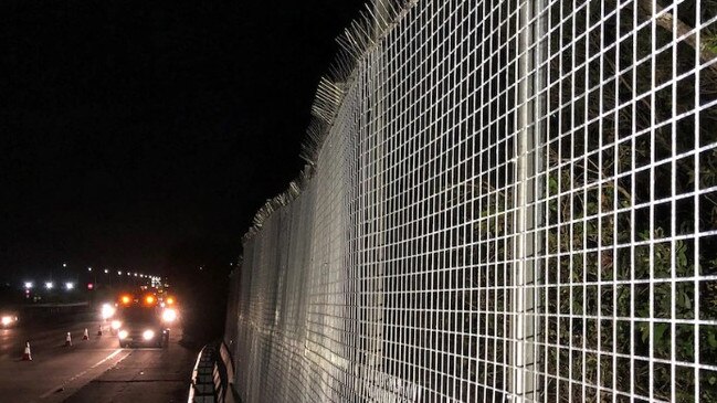 A fence erected on the M1 at Yatala to stop ibis from wandering on to the road. Picture: TMR