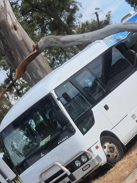 A school bus has been hit in a freak tree fall in the southern suburbs. Picture: Sam Edwards