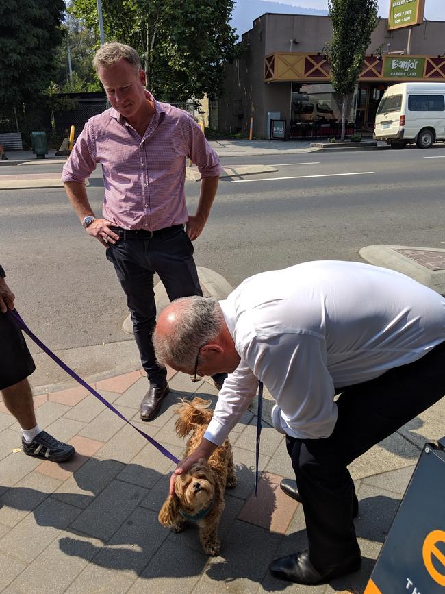 The PM pets a pooch in Huonville as Premier Will Hodgman looks on. 