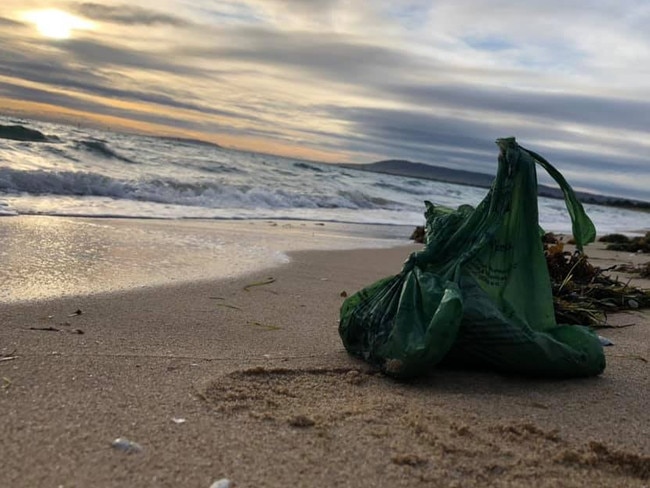 dog poo in bag on beach.jpg