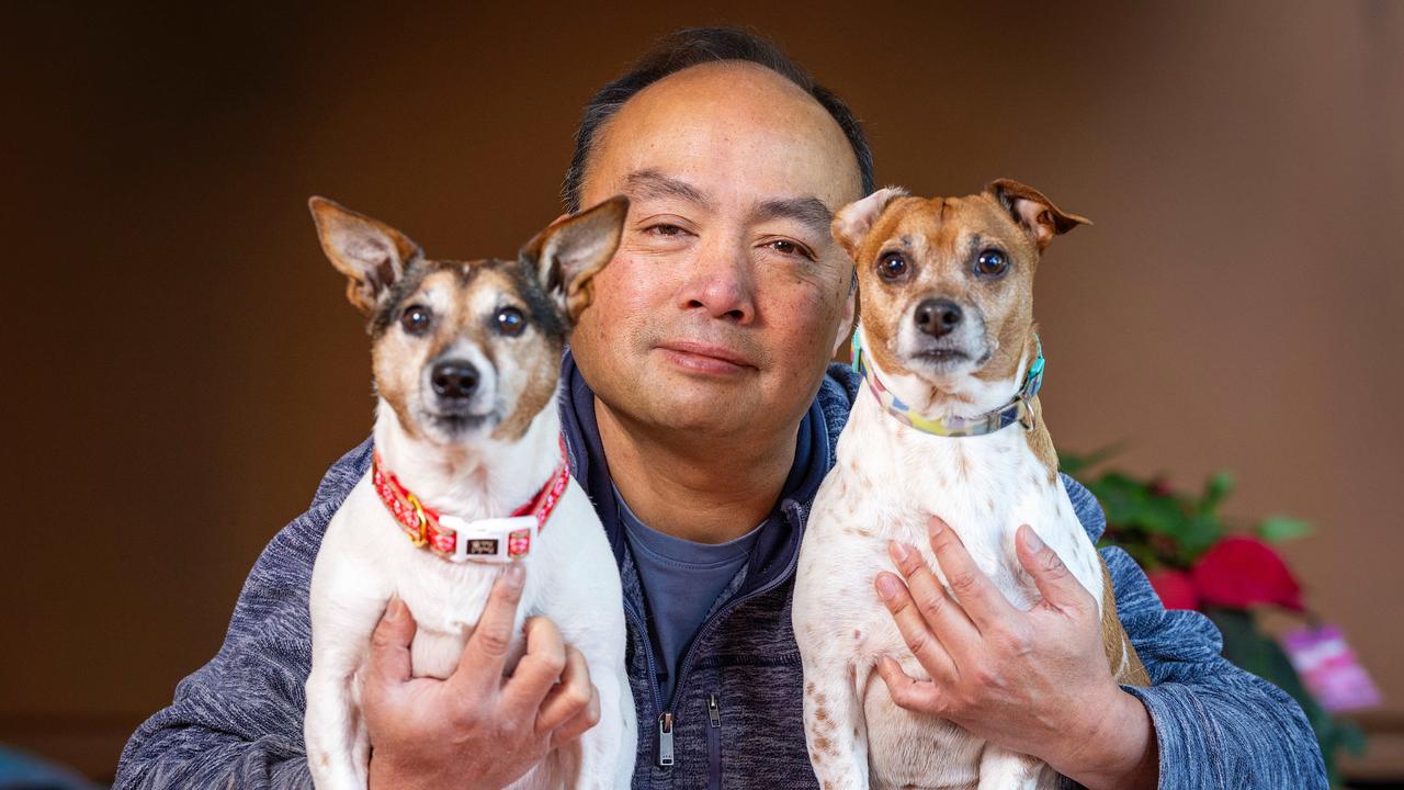 Is he barking mad? Man’s five-year, $100k legal fight to defend dogs