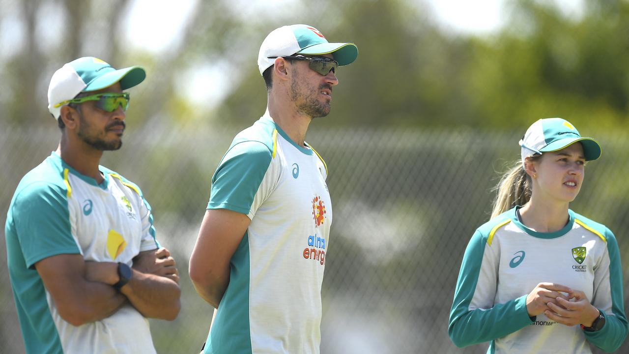 Mitchell Starc dans le Queensland.  Photo : Albert Perez / Getty Images