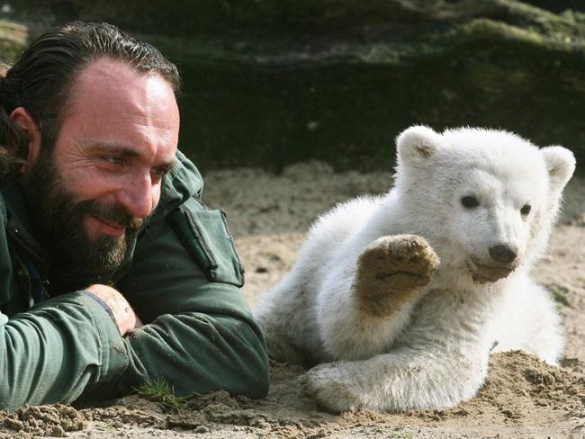 World famous ... Knut, then three months old, waves as he plays with his minder.