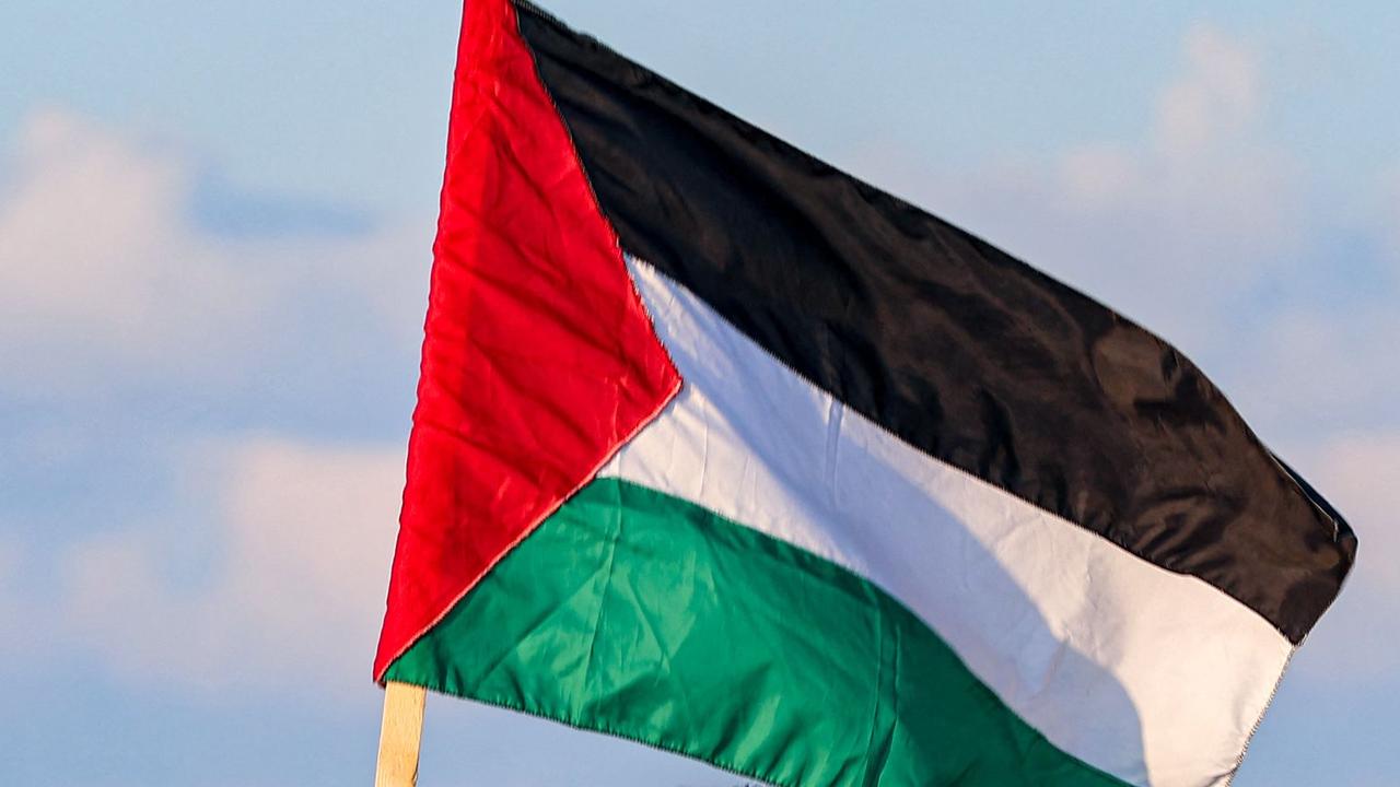 Why Merri-bek councillors rejected push to fly Palestinian flag