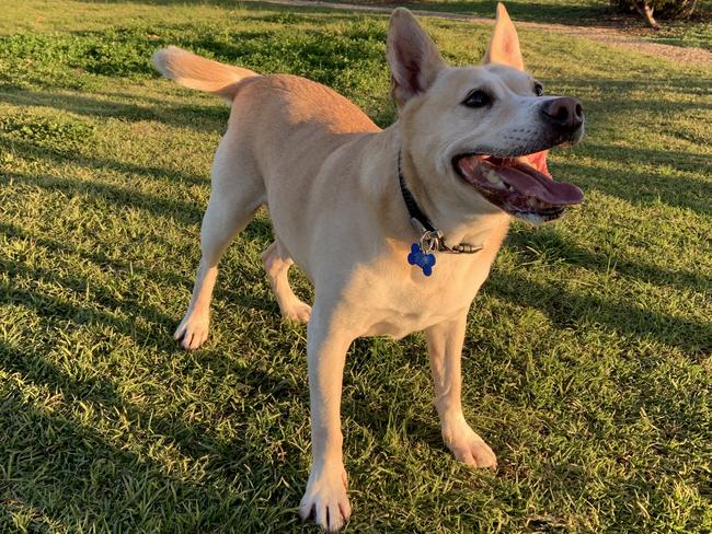 Murray Jose Ruiz Bednarsky, sent in by Kia Ruiz, Gawler.