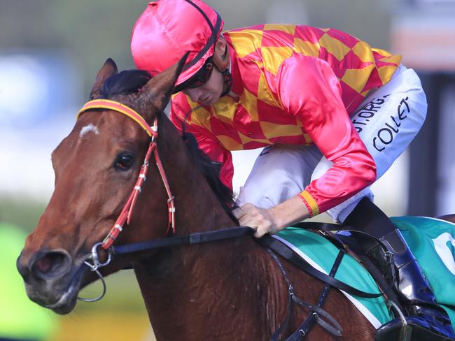 Jason Collett on Steel Diamond rides to victory in race 1 the Alabama Express @ Yulong Handicap during Civic Stakes Race Day at Rosehill Gardens Racecourse in Sydney, Saturday, June 27, 2020. (AAP Image/Mark Evans) NO ARCHIVING, EDITORIAL USE ONLY