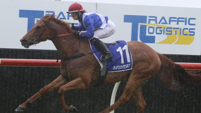 Queen Bellissimo is at generous odds to win race 10 at Randwick. Picture: Grant Guy