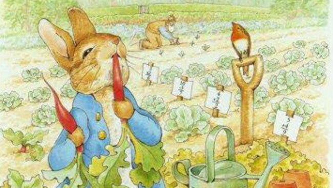 Peter Rabbit has been hopping about the pages of Potter’s books for over 100 years. Picture: Supplied