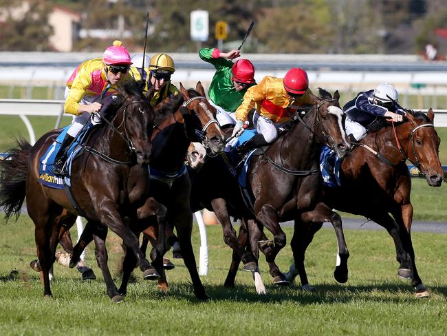 Counter Spin (second left) appears excellent each-way value. Picture: Simon Cross