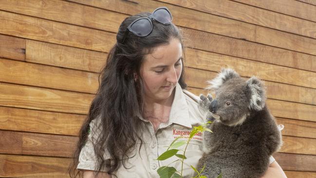 Dana Mitchell from the Kangaroo Island Wildlife Park with injured Koala Ash in Parndana, Kangaroo Island on December 16, 2020. Picture Simon Cross