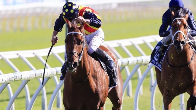 Nature Strip winning The Everest. Even though Nature Strip is now a seven-year-old, the chestnut is racing better than ever and had not missed a top-two finish all year. Picture: Getty Images