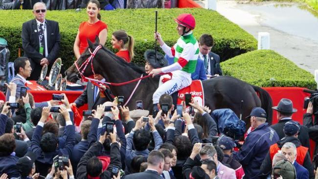 Damian Lane and Lys Gracieux return to scale much to the joy of favourite backers.