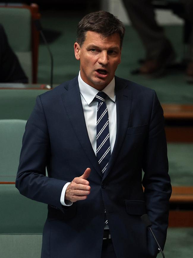 Energy Minister Angus Taylor. Picture: NCA NewsWire / Gary Ramage