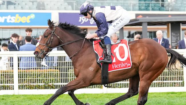 Duke De Sessa (IRE) on the way to the barriers prior to the running of  the Henley Homes Underwood Stakes at Caulfield Racecourse on September 21, 2024 in Caulfield, Australia. (Photo by Scott Barbour/Racing Photos via Getty Images)