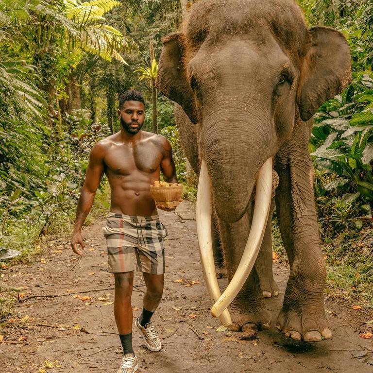 ‘Don’t put the cart before the horse’ … or the elephant, says Jason Derulo. Source: Instagram