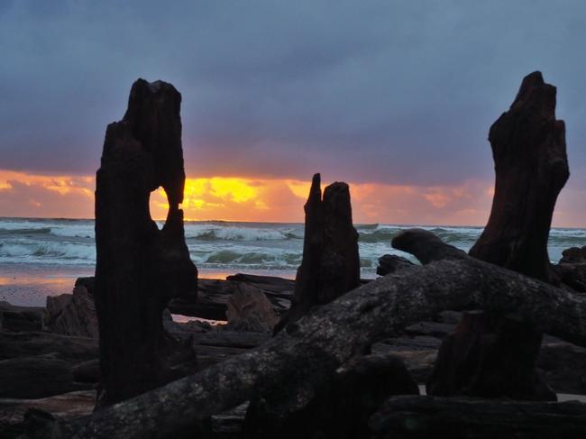 Thanks to Lynne East for this shot of Woopi. Coffs cover image.