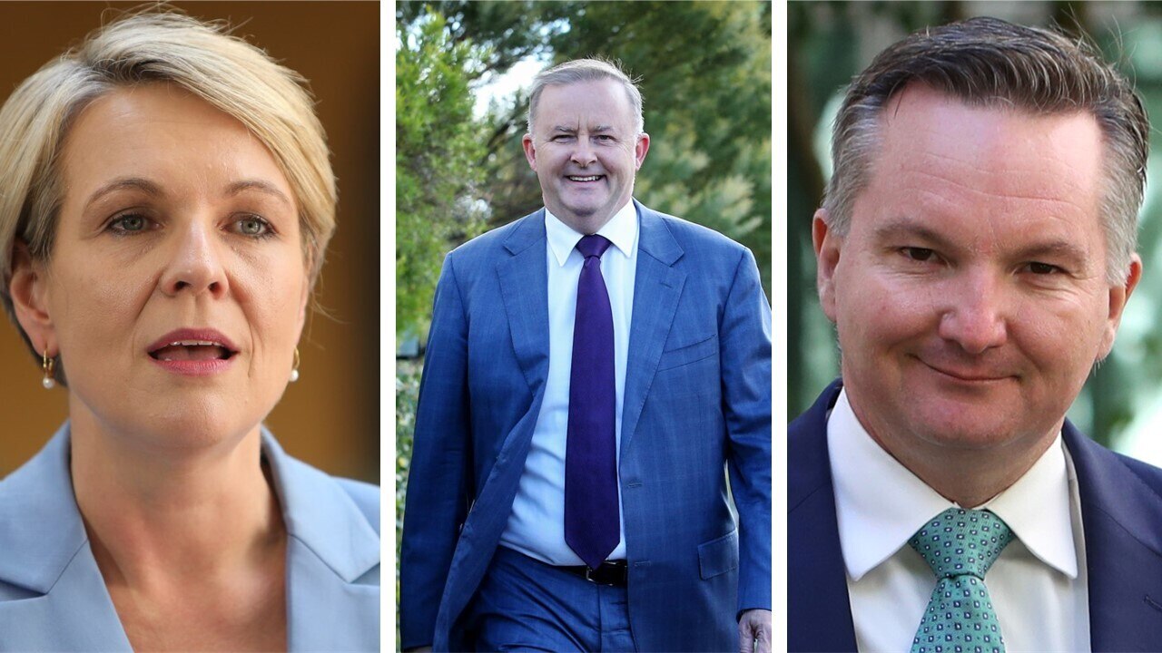 Plibersek, Bowen To Run Against Albanese For Labor Leadership | Sky ...