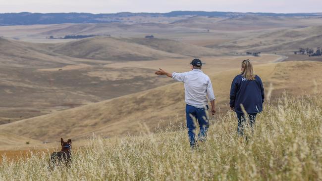 Landowner Angus Stockman, from Glenowie stud, and Hannah Wilson, from Neoen, inspect the windfarm site at Hanson, southwest of Burra. With Alan the kelpie.