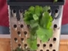 The genius hack for de-stemming herbs quickly and easily