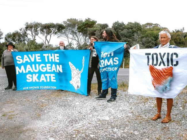 Some of the anti-salmon farming protestors from the Bob Brown Foundation who greeted Prime Minister Anthony Albanese when he arrived in Strahan last year. Picture: Bob Brown Foundation