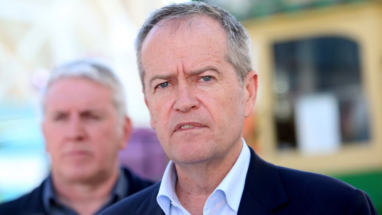 'So stupid it's beyond words': Bill Shorten calls for protests to 'dial down'