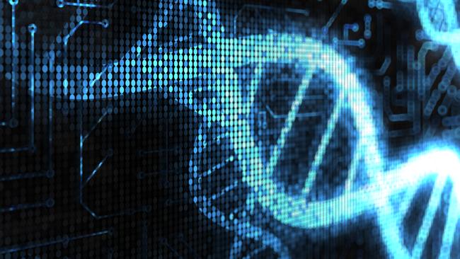 Genomics is the study of whole genomes of organisms.