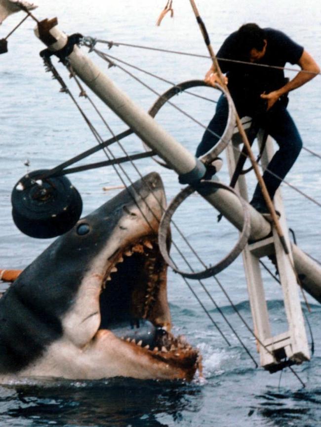 A scene from the movie Jaws.