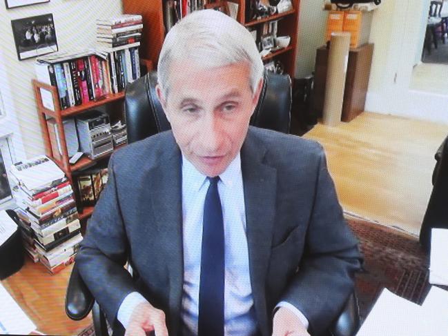 Dr. Anthony Fauci, director of the National Institute of Allergy and Infectious Diseases speaks remotely during a virtual Senate Committee for Health, Education, Labor, and Pensions hearing. Picture: Win McNamee