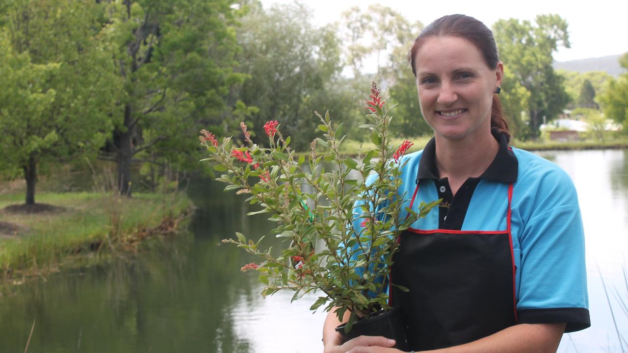 Morwenna Harslett, the former owner of Cherry Lane Nursery, is in the running for a seat on Southern Downs Regional Council. Photo Katie Cameron / Stanthorpe Border Post