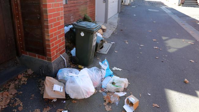 A laneway at the rear of the house. Picture: Stuart McEvoy/The Australian