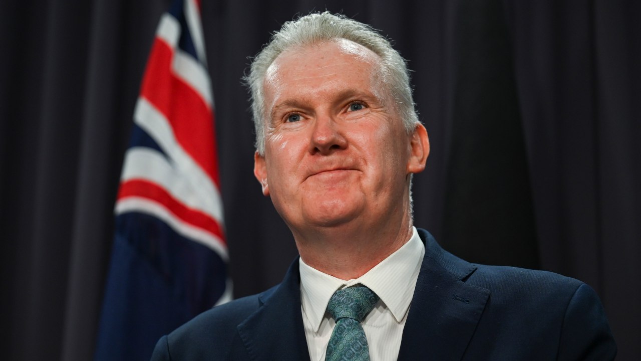 Newly-appointed Immigration Minister Tony Burke hits back at ‘idiotic ...