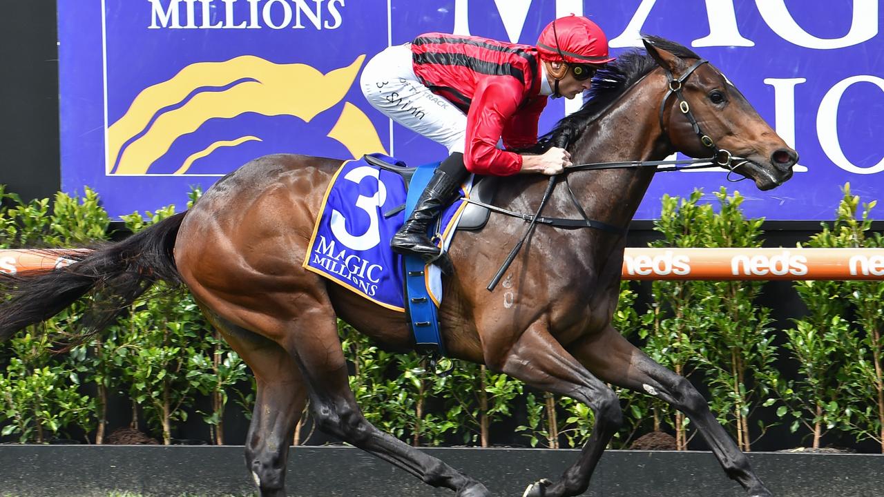 King's Gambit can maintain his unbeaten record and Golden Slipper favouritism with a win in the Canonbury Stakes. Picture: Getty Images