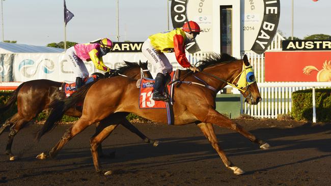 Colemans Printing Cup - 5.48pm. Winning horse Adynata ridden by jockey Kim Gladwin.