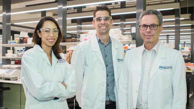 Associate Professor Sherene Loi, Dr Daniel Gray and Professor Geoff Lindeman. Picture: Walter and Eliza Hall Institute