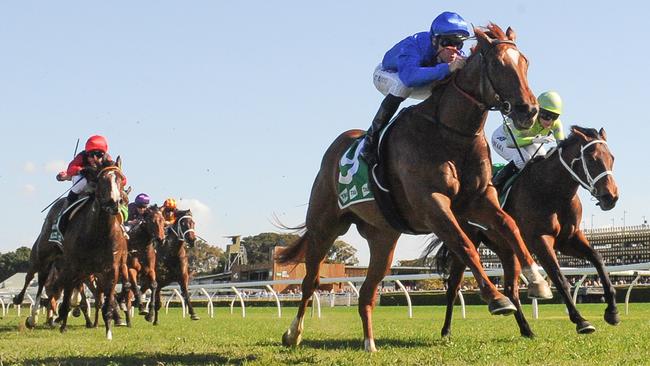 Pandemic burst out of the pack to score an impressive win on the Kensington track at Randwick. Picture: AAP