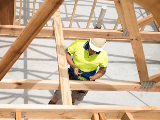 Builder checking plan on digital tablet.