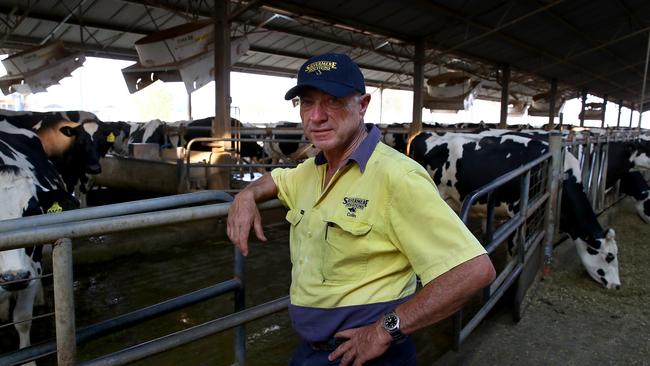 Dairy farmer Colin Thompson on his dairy farm Callara near Gooloogong where cows are free to walk, feed or sit in between milking sessions. Picture: Toby Zerna