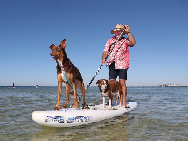 Rob Lorenzon and his dogs Lani and Spike go for a paddle at Middle Park. Picture: David Crosling