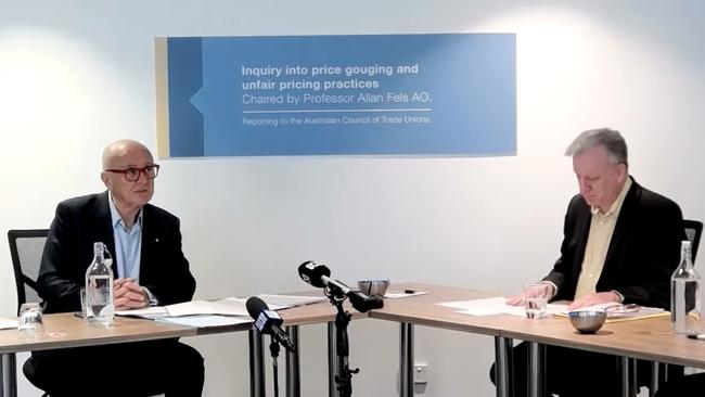 Professor Allan Fels AO (left) is overseeing the inquiry. Picture: NCA NewsWire