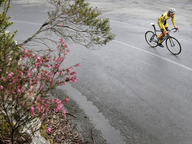 Brodie Talbot. Stage one of the 2014 Tour of Tasmania bicycle (road cycling) race. Waterworks reserve to the summit of Mt Wellington. Time trial, won by Ben Dyball.