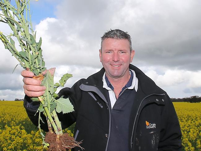 Brett Hosking, with canola crops,   Oakvale     Picture Yuri Kouzmin