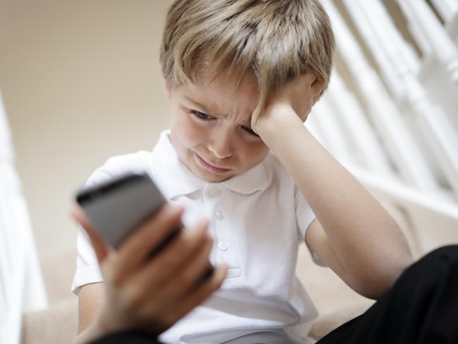 ReachOut has found 378,000 14 to 25-year-olds were bullied online in Australia last financial year.