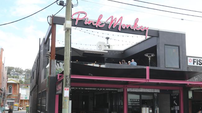 Pink Monkey in Burleigh Heads . Picture: Mike Batterham