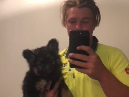 SOCIAL MEDIA IMAGE DISCUSS USE WITH YOUR EDITOR - Gympie roofer Lochey Brown and his adorable pup Alf have gone viral on TikTok, with more than 300k views of a video