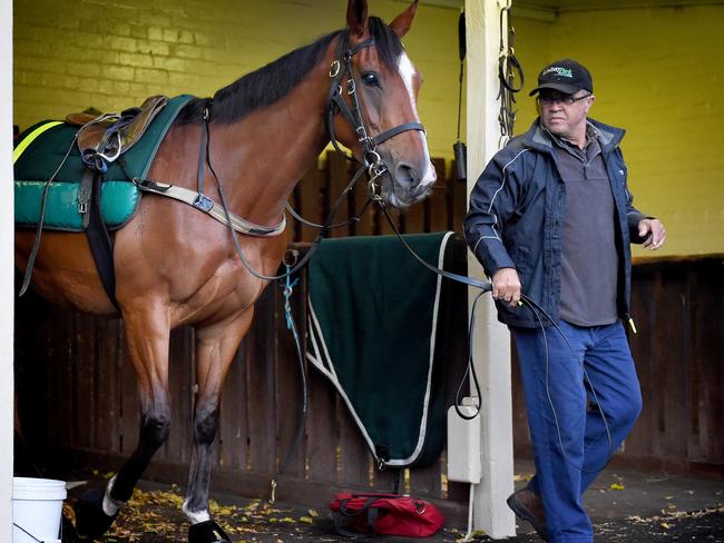 Rising Romance gets her chance to atone for her last-start failure. Picture: Nicole Garmston